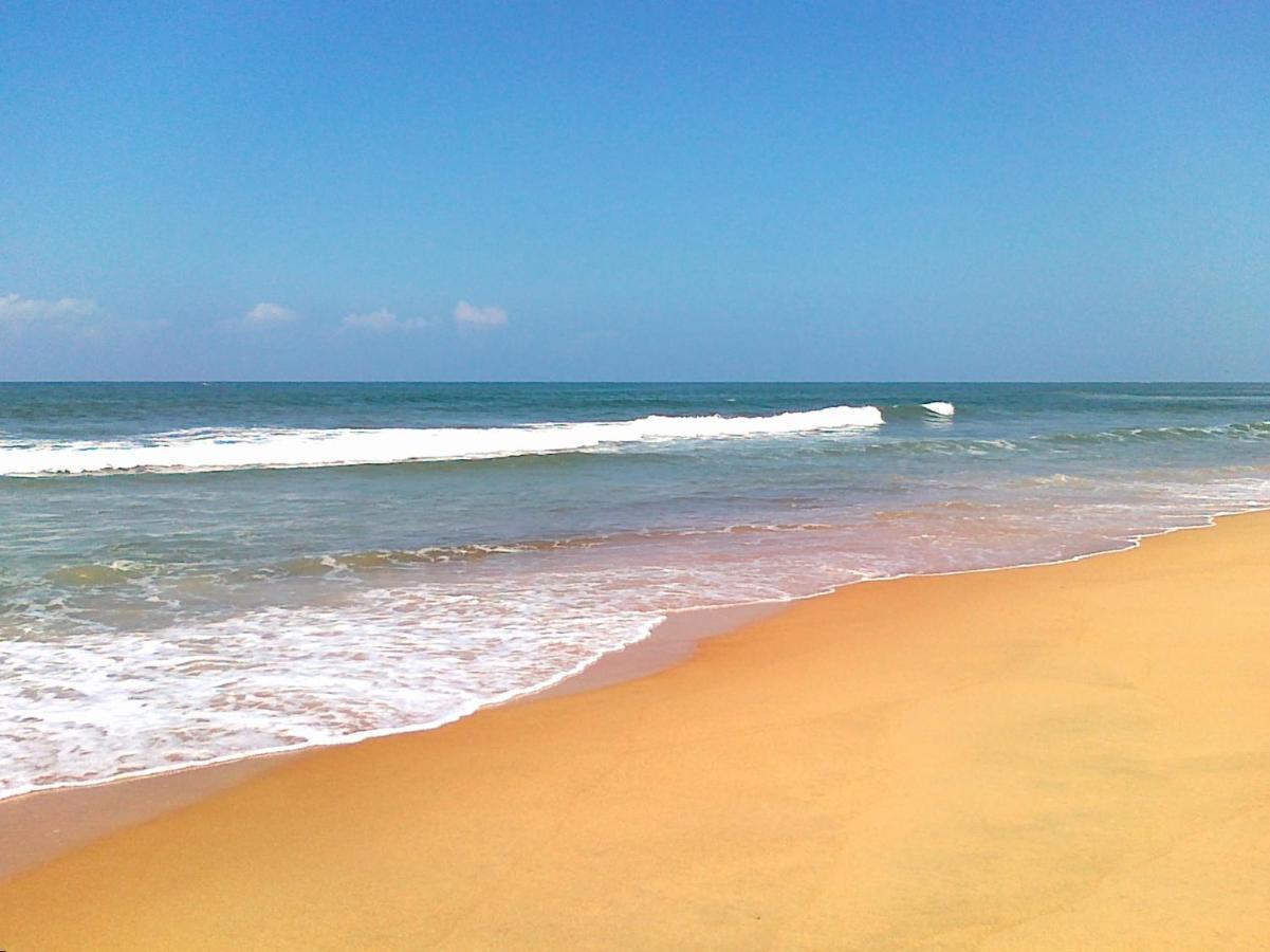 Candolim Glitter Sand Dış mekan fotoğraf